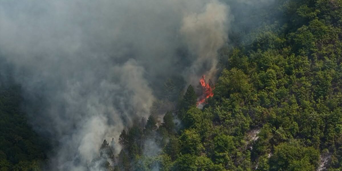 FUCZ: Požar kod Gruda ne može gasiti Air Tractor, kod Grahova stigao specijalni tim